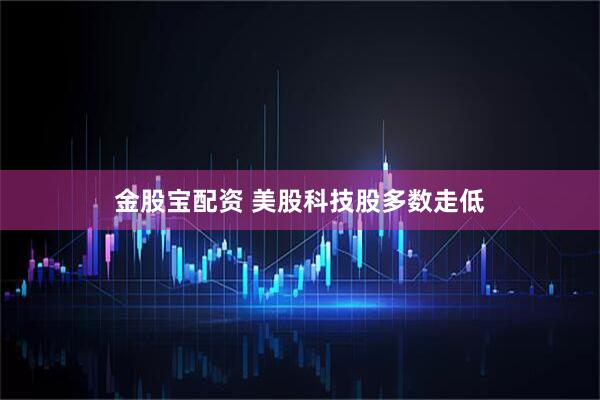 金股宝配资 美股科技股多数走低
